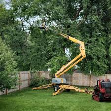 Best Lawn Grading and Leveling  in Cairo, NE